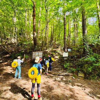 ここが最短の矢立石登山口。
駐車場🅿️は数台停められそう。