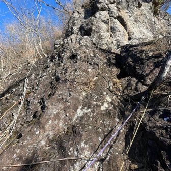 山頂付近にたくさんトラロープがある
なんか怖いから体が固まった、足もうまく捌けない