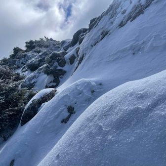 米粒が立つ様に
氷の結晶が立っている✨

太陽に照らされてキラキラ✨でも踏むの‼️
踏み越えていくわよっ‼️💪😁
