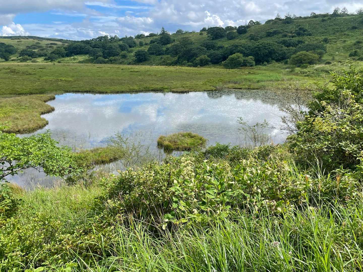 鷲ヶ峰往復 | 国指定天然記念物の植生豊かな高層湿原から、霧ヶ峰で有数の展望峰への写真