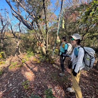 竹ゾーンおわり。

おおば山
眺望ほぼなし
