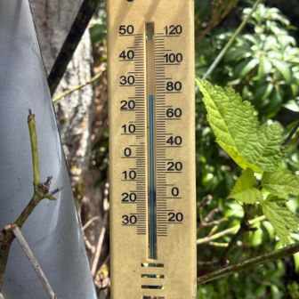 暑いけど、30℃超えていなかった