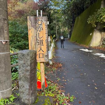 むかし道には標識あり