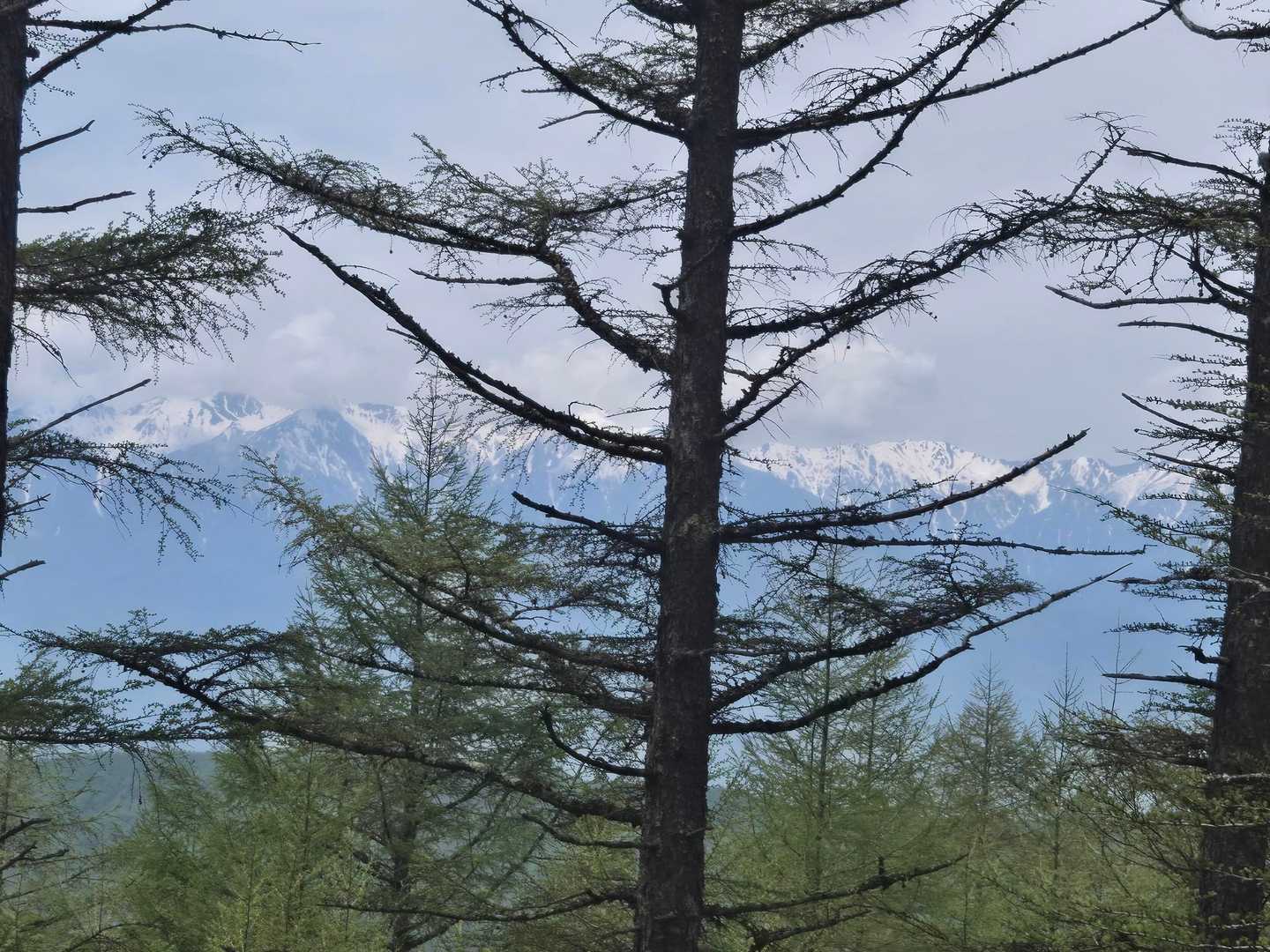 分杭峠-入野谷山-パノラマ尾根の頭 往復コースの写真