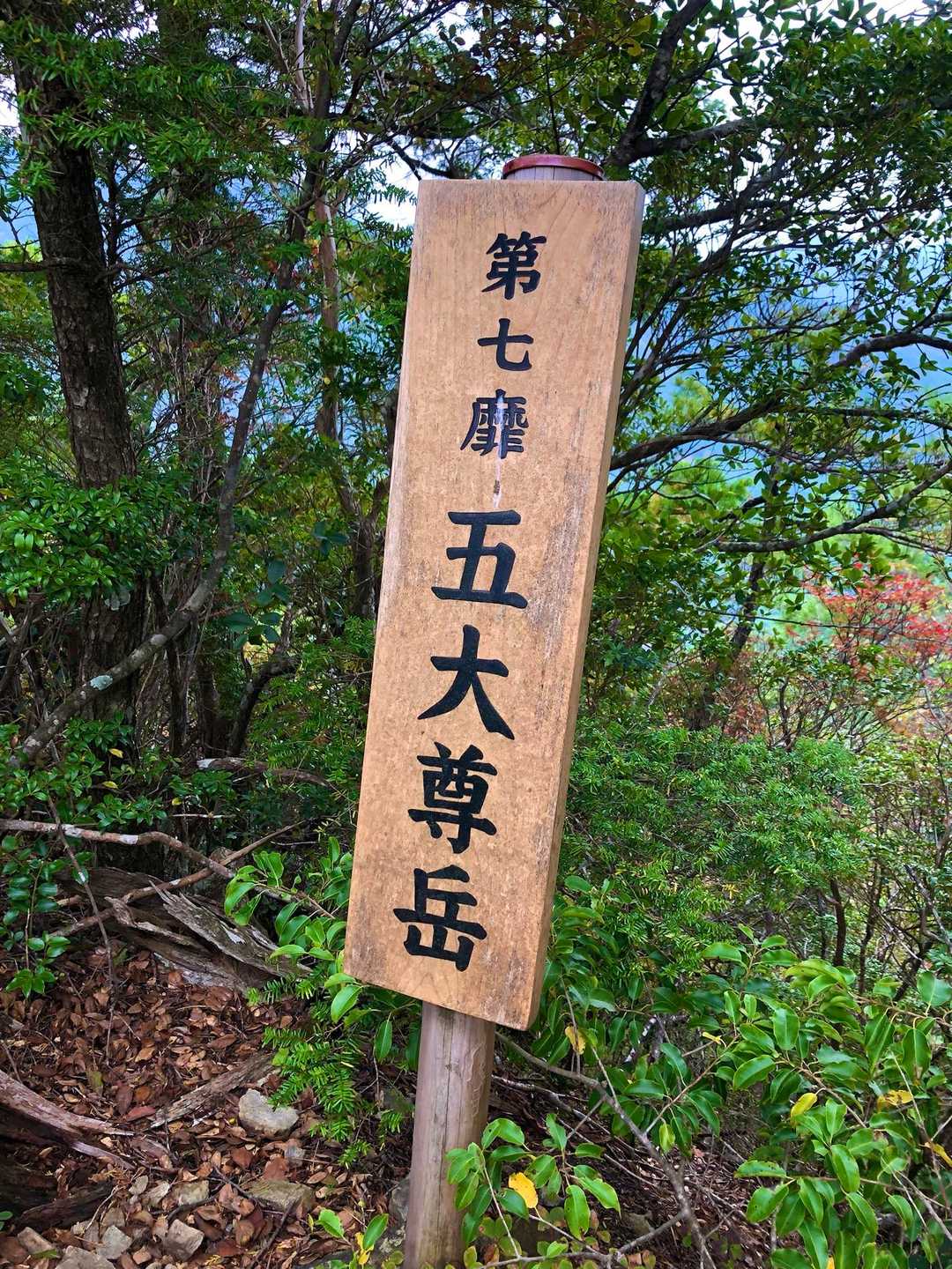 五大尊岳山頂825M到着⛰️
《第七靡》