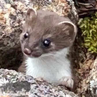 山はいいよなおじさん