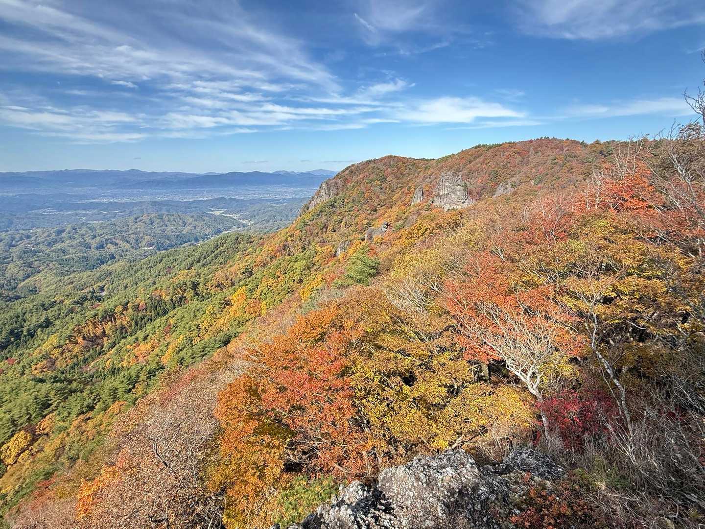ここで引き返す予定だったけど直近レポでこの先の紅葉が綺麗だったので進む事に🚶‍♀️🎵