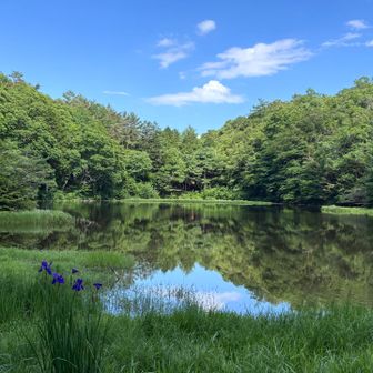 さわら池✨到着