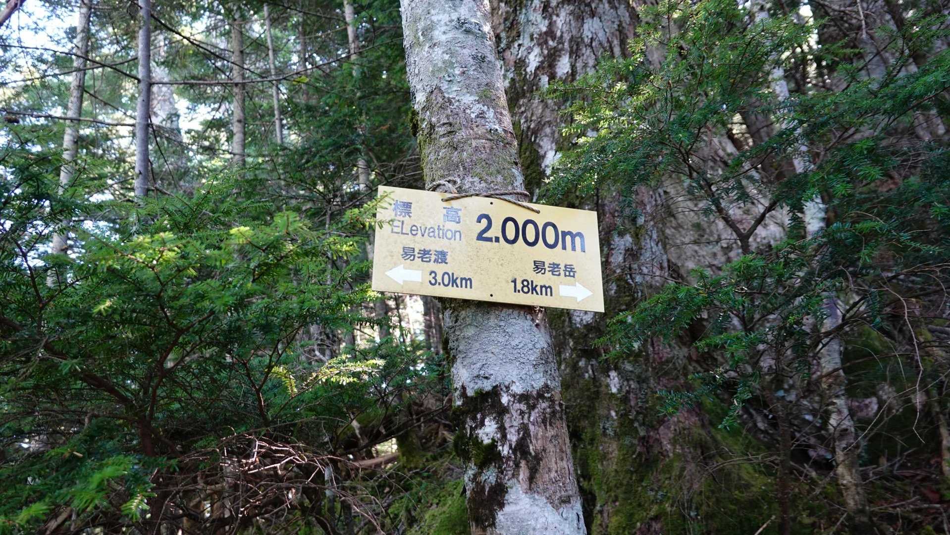 2000mになった