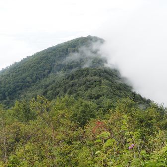 霊仙寺山側から見た飯縄山です。
半分ガスに覆われてきました。
雨が来ると悪いので急いで下山します。
