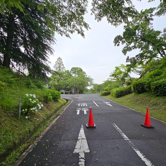 志高湖閉まってる～😵
マジか😭少し先まで移動してスタート