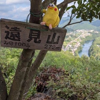 🚩③遠見山に登頂です🙌ヽ(=´▽`=)ﾉ
相棒もお疲れ様💕❤