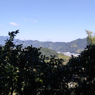 富士山  ｳｯｽﾗ🧐
