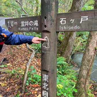ガイドさんがあの絵を指さして、これは青森県の形で今いるのはこの辺って言ってるトコ