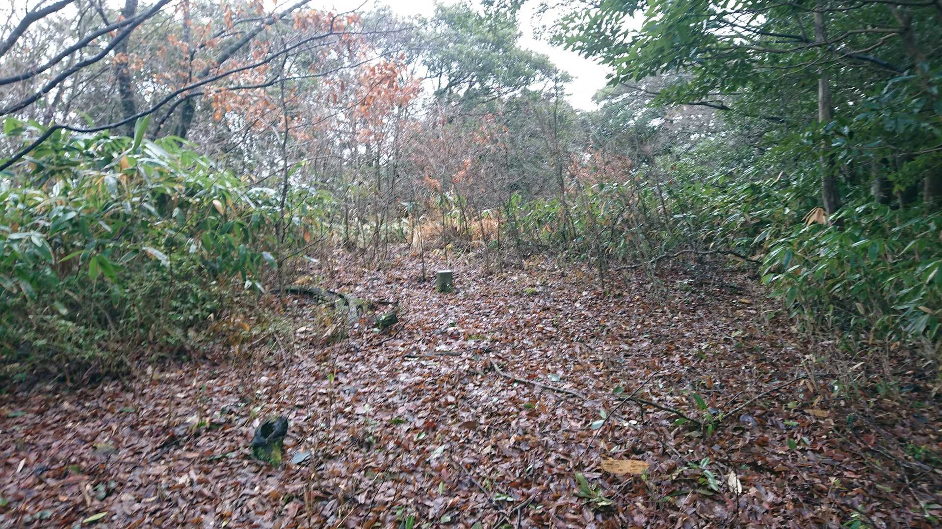 頂上