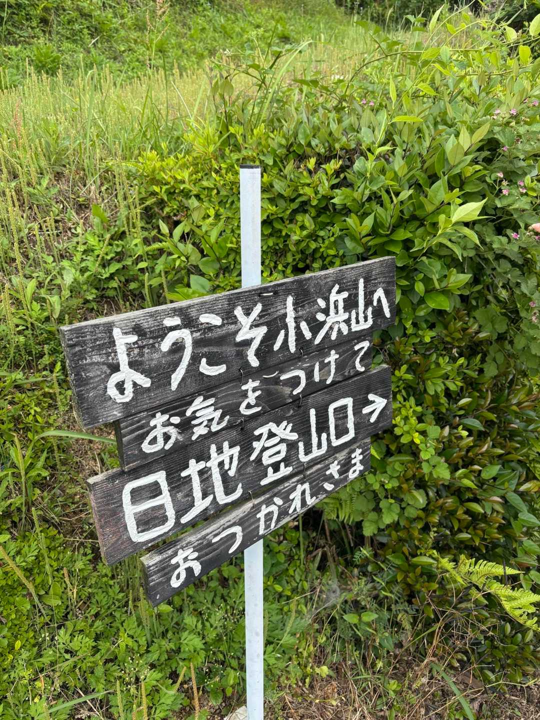 おつかれ山😊