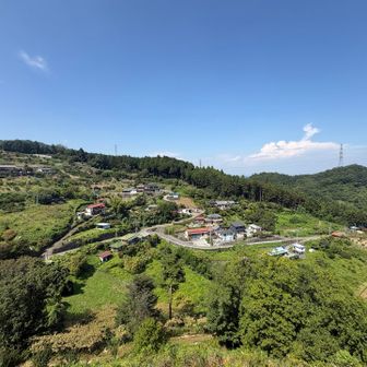 花桃の郷を一望する。