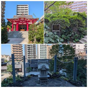 11座目⛰️
鳴子富士（新宿区　成子天神社内）

ちょっとした岩場🪨の登山がある。