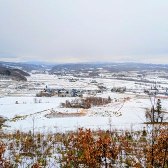 土が出てる所と凍ってガチガチな所とあったけど歩きやすい　ポールも要らず👍