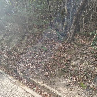 日山の西登山口の向かいにある登山口から初めて雨山に登ってみました