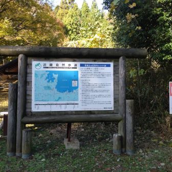 電車登山は出来なくはないが、問題は小浜線の本数だ。

最寄り駅は青郷駅

昼間だと２時間に１本だぞ🤯