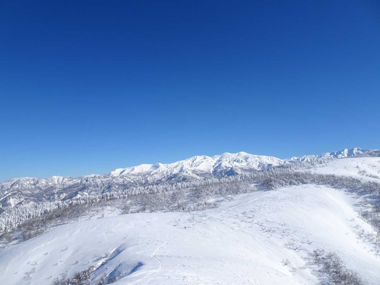 ３回目にして白山ど～ん！
