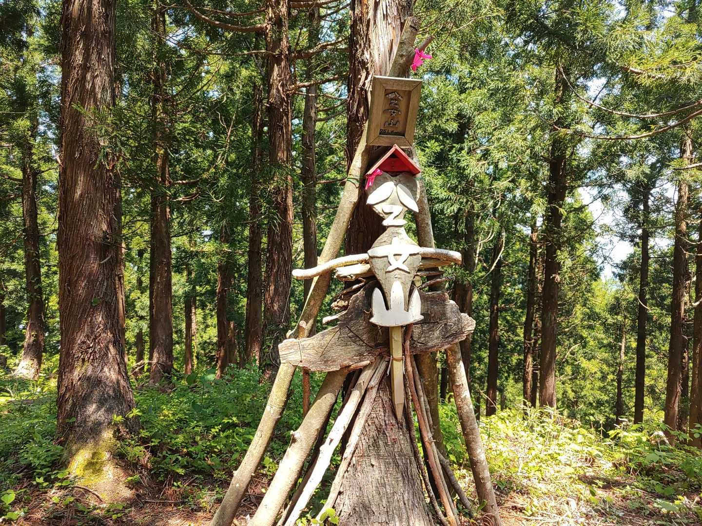 八乙女山山頂
ここまで１時間３５分
遅っ！