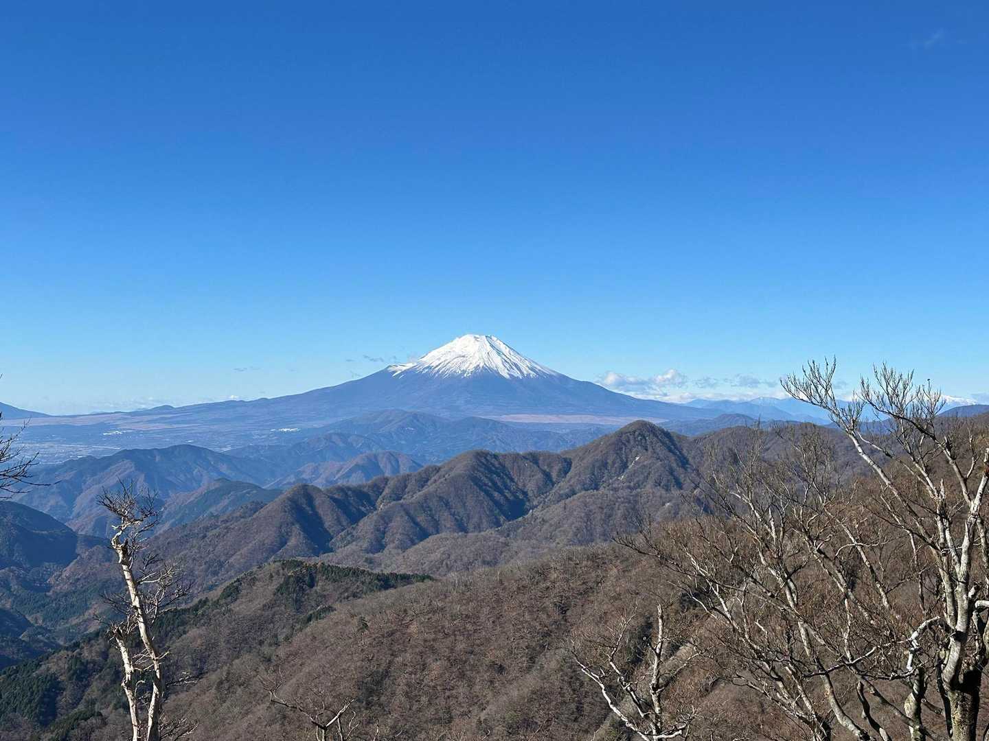 天王寺峠-モチゴヤノ頭-丹沢山 周回コースの写真