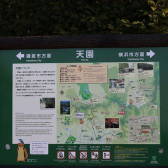 天国みたいな天園🤣
もう少しかな