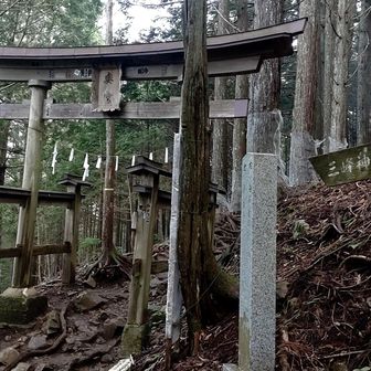 第二の鳥居⛩️
ここで雲取山コースとお別れ