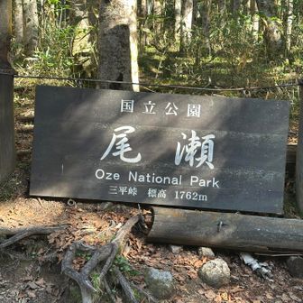 三平峠　この先は⤵️💦
　14時30分シャトルバスに乗りたいね！
頑張ろう😉💪