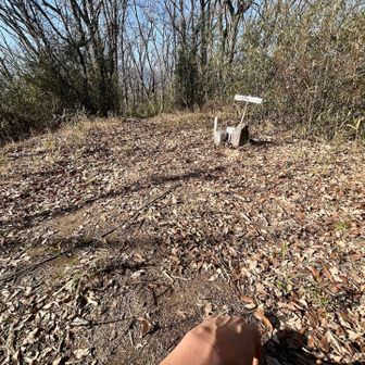 今日は暑すぎる🥵