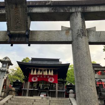 ここが山頂‼️です。