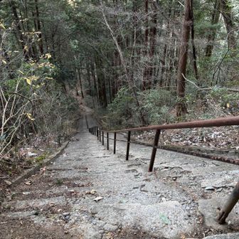 奥多摩駅へ下りるルートの最後のダメ押し・愛宕山通過後のやべえ古階段
登りたくもないが、下るのはもっとイヤである