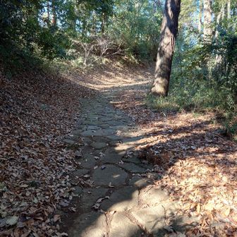 石畳になりました。
鎌倉裏街道あるいは小野路道と言われたそうです。