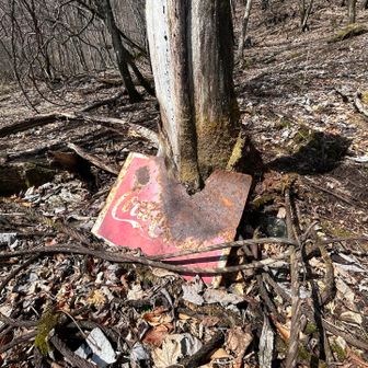 造林小屋付近…くまさんの落し物と思われるものがもりもり🧸2ヶ所(•ᴗ•; )