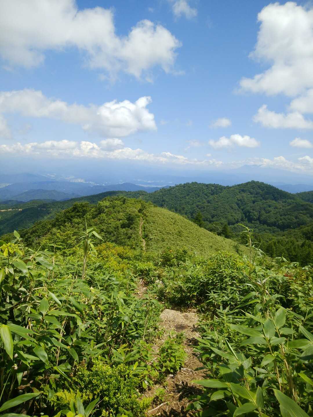 猪臥山の写真