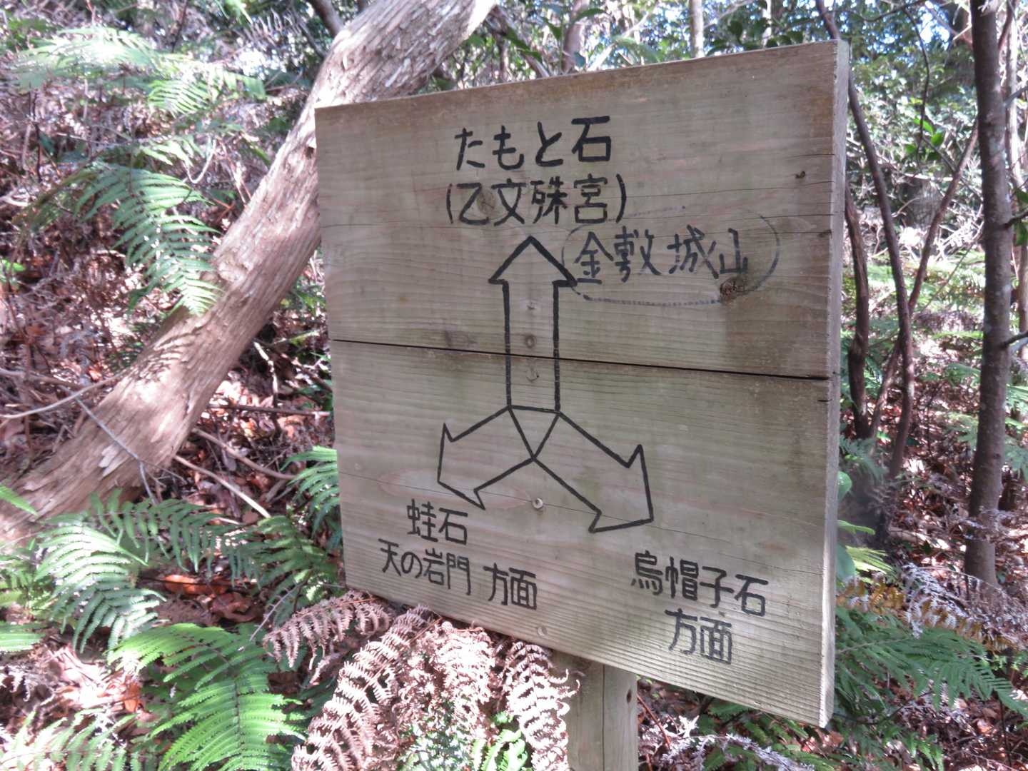 ここに出ると
