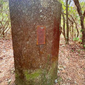 歴史的な測量技術の遺構、「天測点」
天体観測によって緯度や経度を測定した場所を示す標識だそうです。