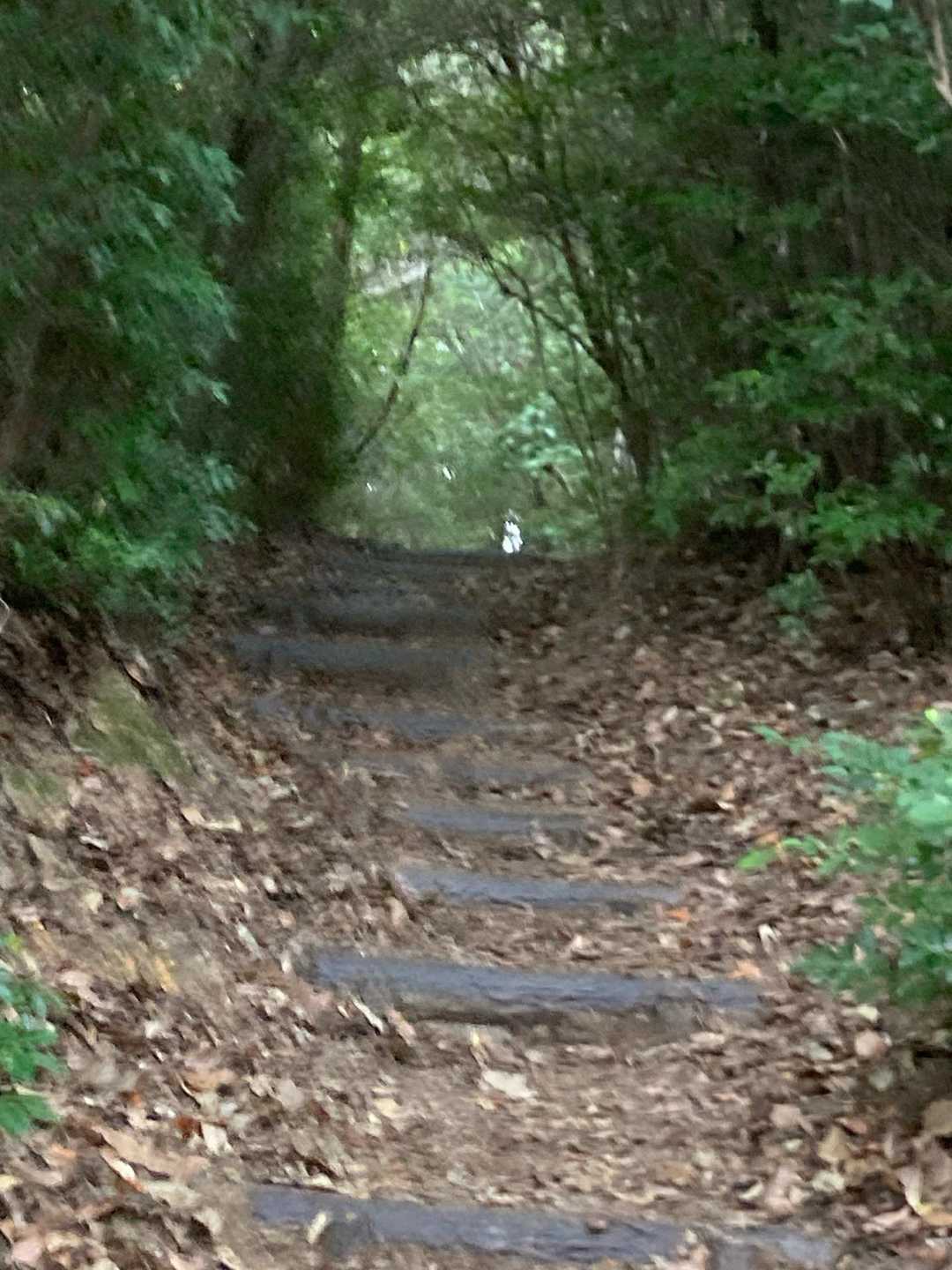 いつものメイの道😊
