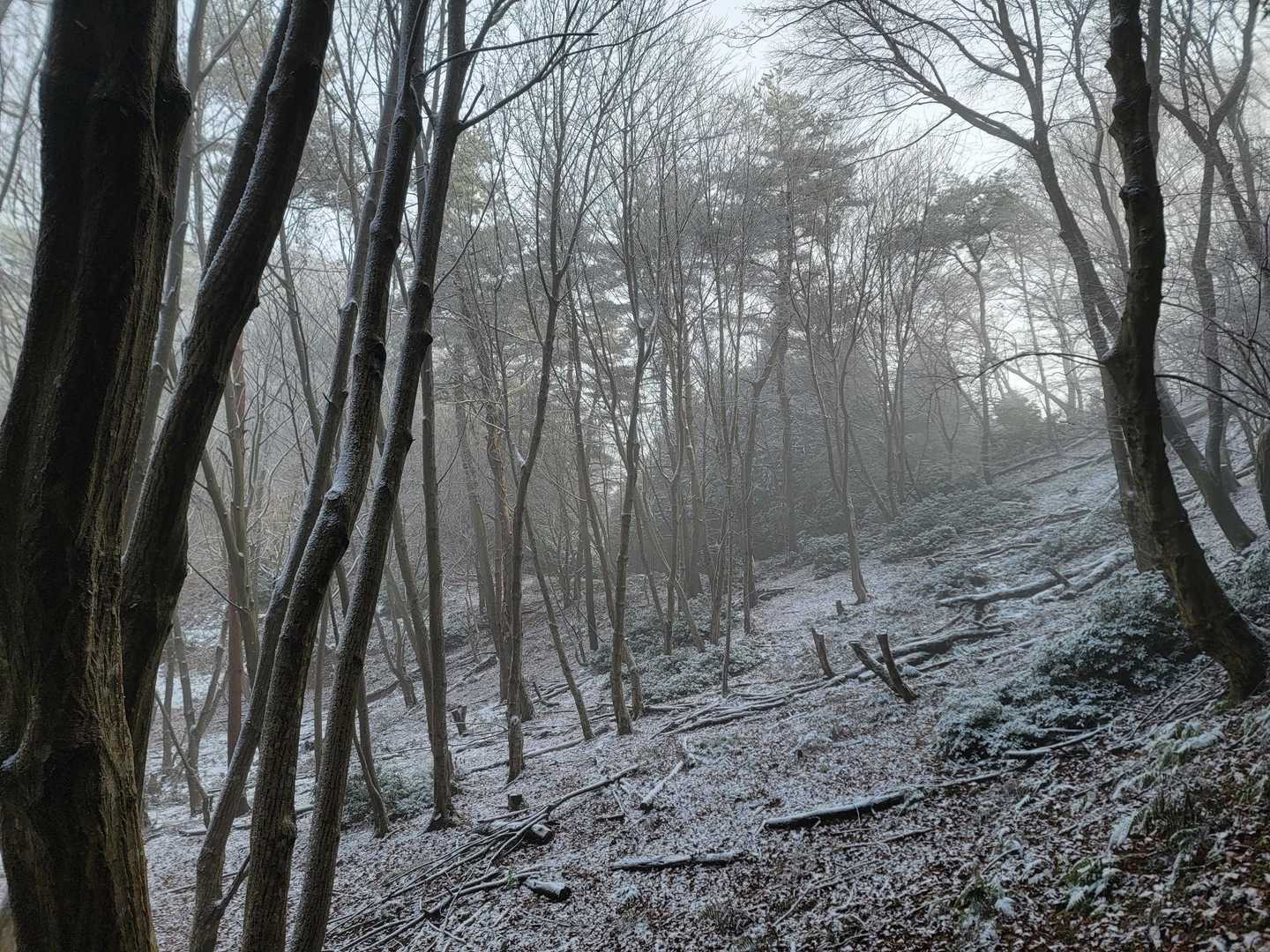 辺りも白くなってくる。