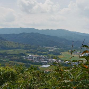 山頂から