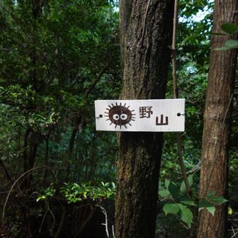 野山です。まっくろくろすけ