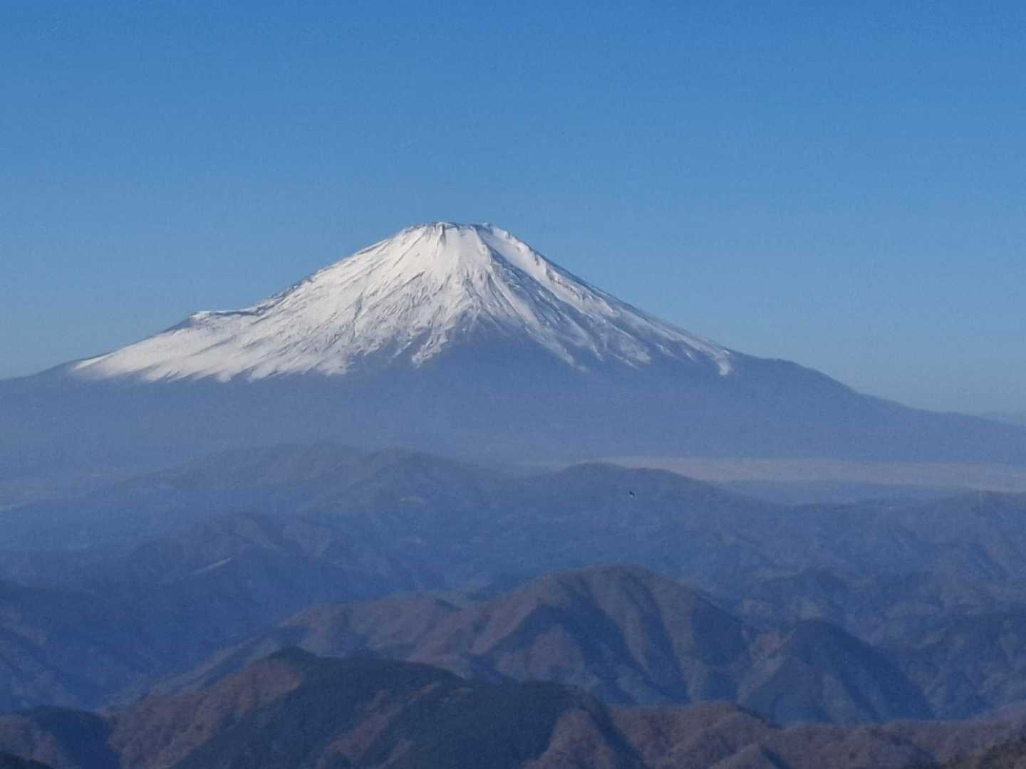 先週土曜に天城から見た時と違って雪化粧もばっちりです