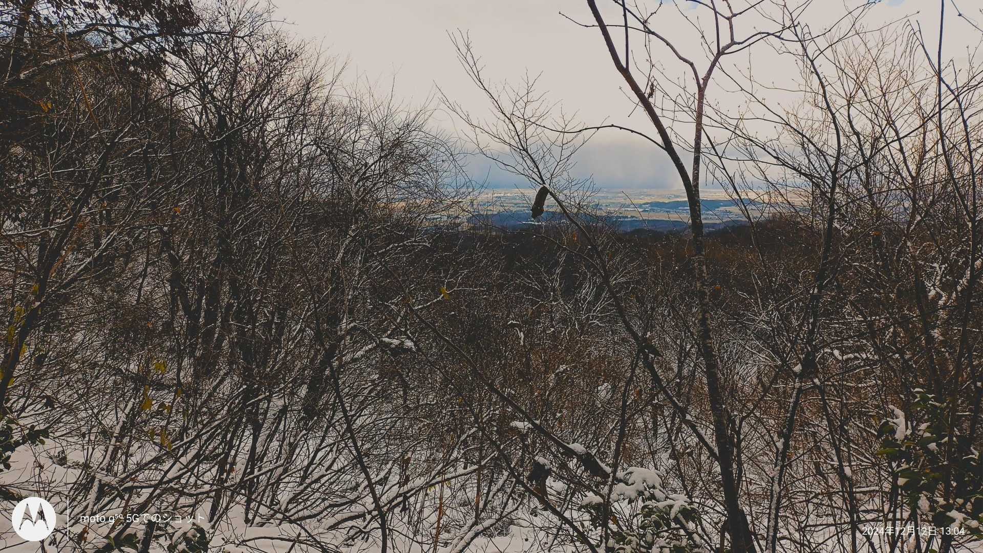 ここからの景色。この時間帯で暗くて寒い。マイナス方面の気持ちになりかけるが、何とかモチベーションを維持。
進む先に聳える山はもっと暗い。光が無い。ここから先は覚悟。