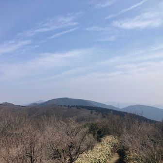 井原山方面を眺めて、下山開始