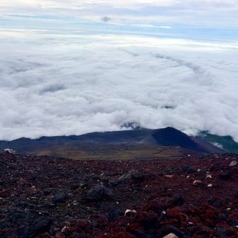 雲海から北アルプスが見えてた⛰️