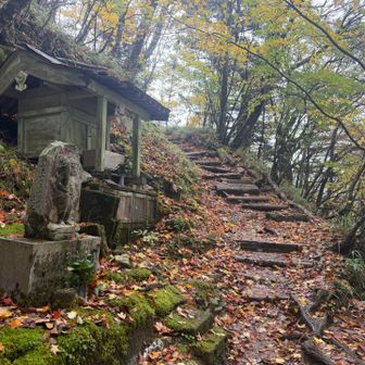 登りはそこまでキツくない