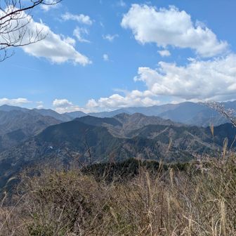 今日はまだ誰にも会っていない。大山、塔ノ岳は混んでいるだろうな。