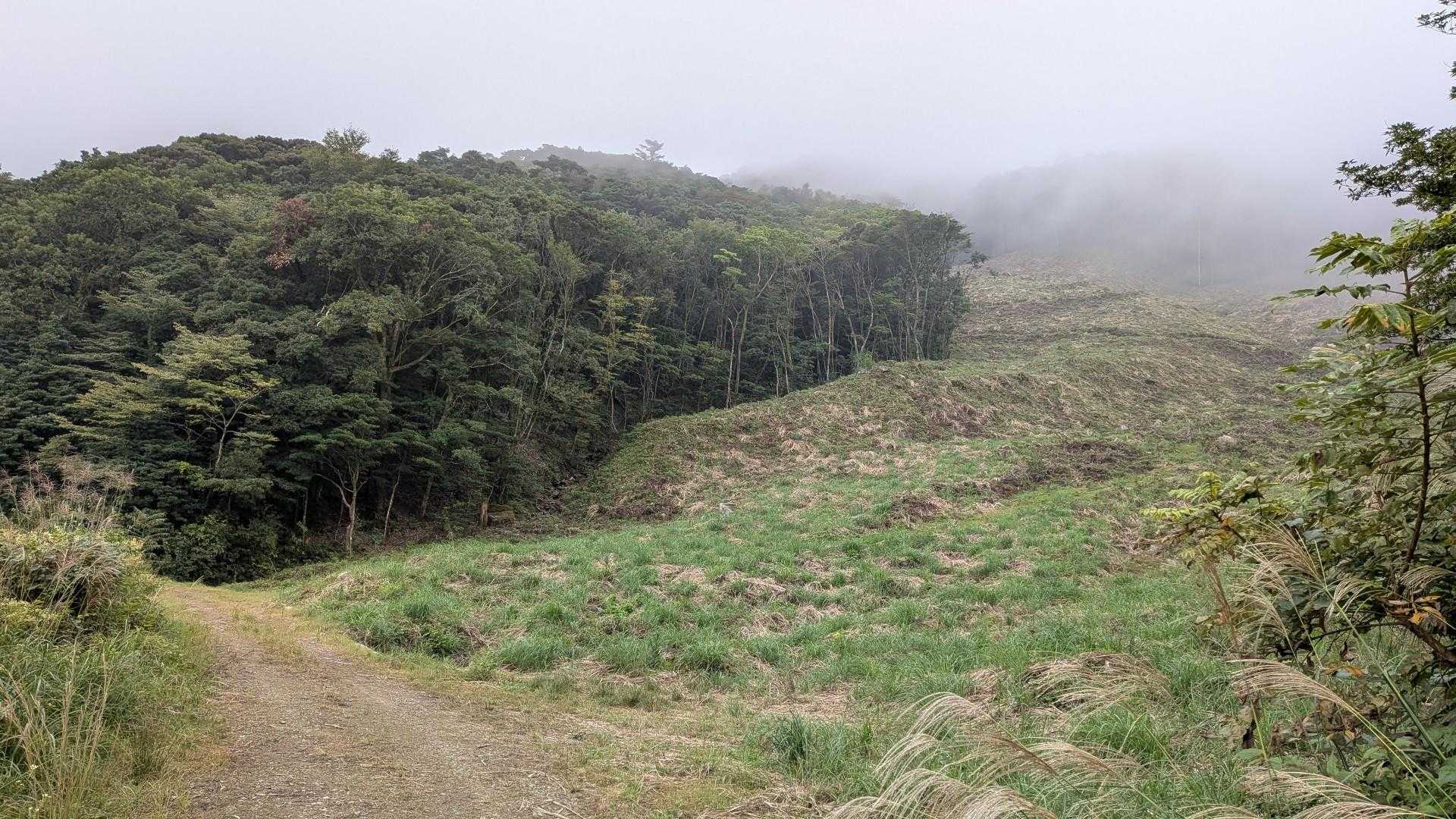 右側に伐採されたゾーンが見えたら登山口は近い
ここからも登れそうだけどな